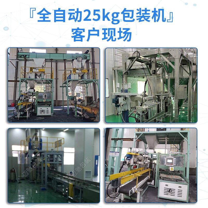 25公斤洗衣粉包裝機